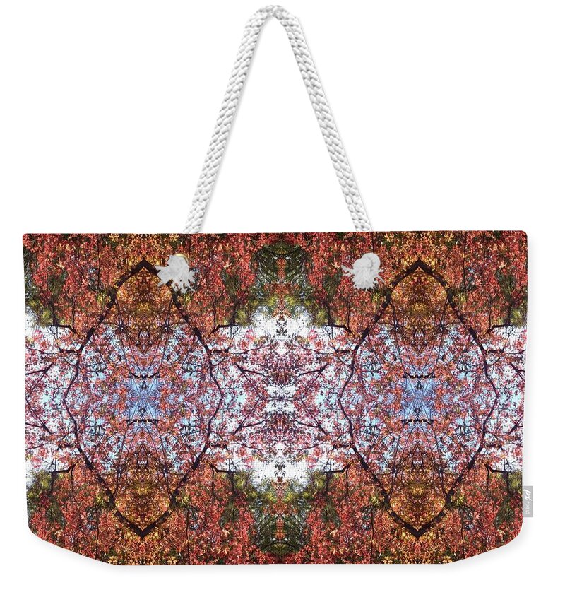 Triangle Weekender Tote Bag featuring the photograph Rectangle by Nora Boghossian