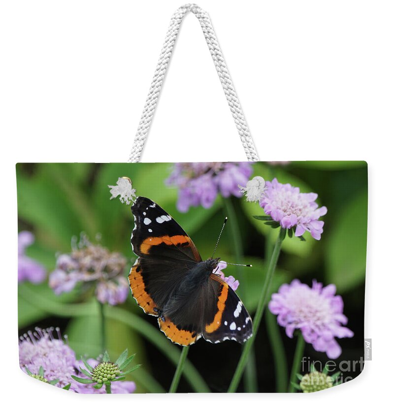 Red Admiral Butterfly Weekender Tote Bag featuring the photograph Red Admiral Butterfly and Pincushion Flower by Robert E Alter Reflections of Infinity