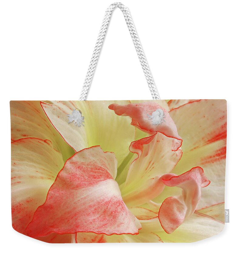Amaryllis Weekender Tote Bag featuring the photograph Red and White Amaryllis Abstract Horizontal by Gill Billington