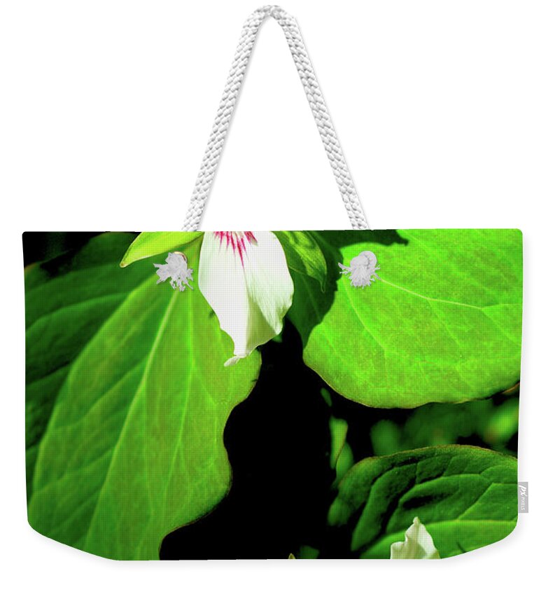 Painted Trilliums Weekender Tote Bag featuring the photograph Painted Trilliums by Meta Gatschenberger