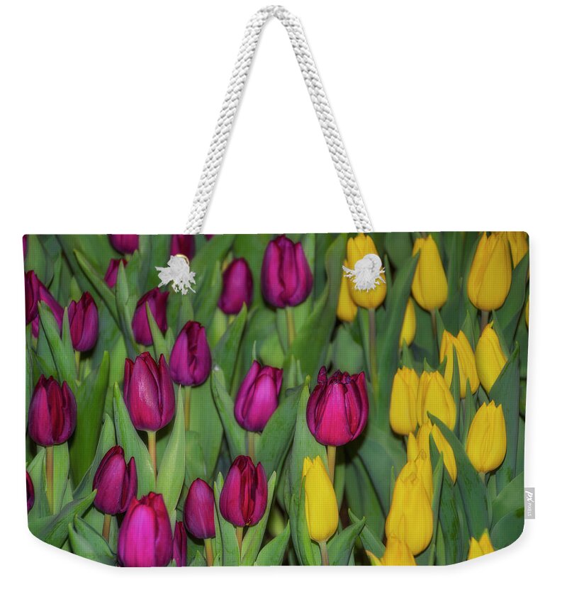 Red Weekender Tote Bag featuring the photograph Red and Yellow Tulips by Bill Cannon