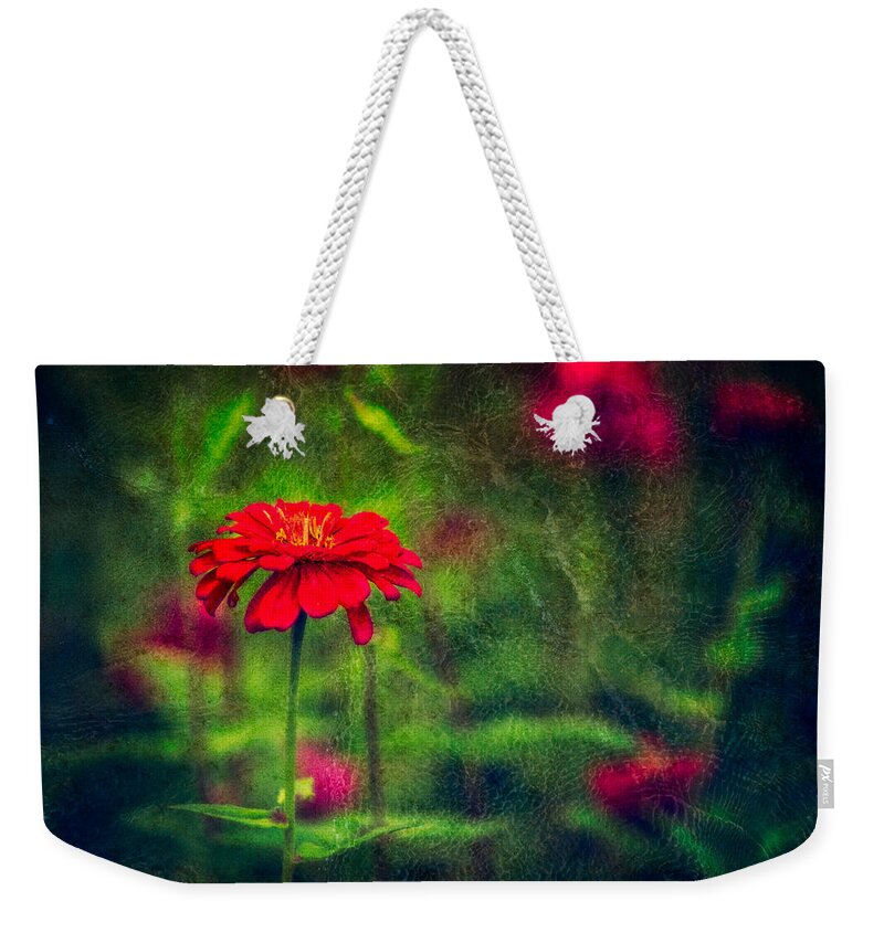 Autumn Flowers Weekender Tote Bag featuring the photograph Red Autumn Blossom in Green by Peter V Quenter