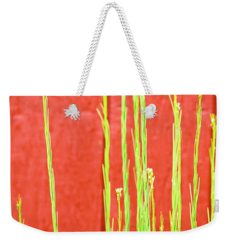East Dover Vermont Weekender Tote Bag featuring the photograph Red Barn Green Flowers by Tom Singleton