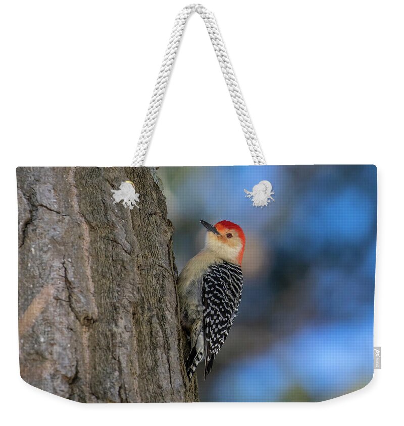Bird Photography Weekender Tote Bag featuring the photograph Red-bellied Wodpecker 3 by Gary Hall