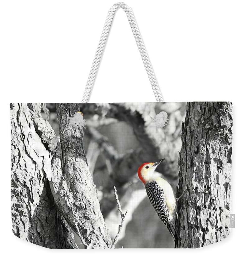 Woodpecker Weekender Tote Bag featuring the photograph Red-Bellied Woodpecker by Benanne Stiens