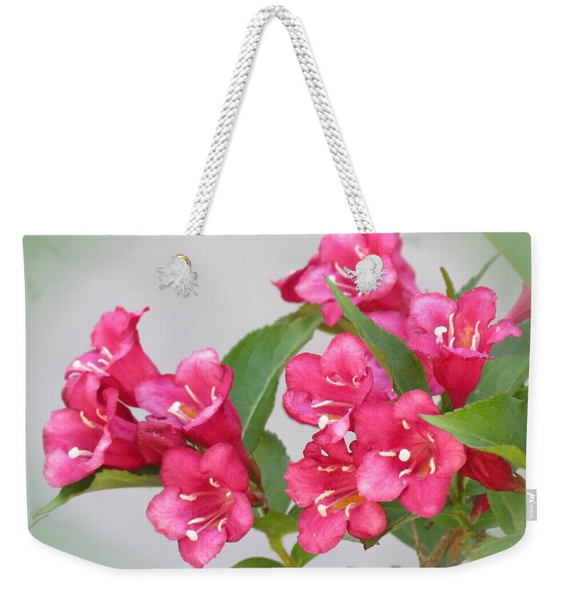 Weigela Weekender Tote Bag featuring the photograph Red Bells by MTBobbins Photography