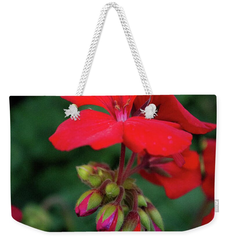 Red Weekender Tote Bag featuring the photograph Red Blooms by Lisa Blake