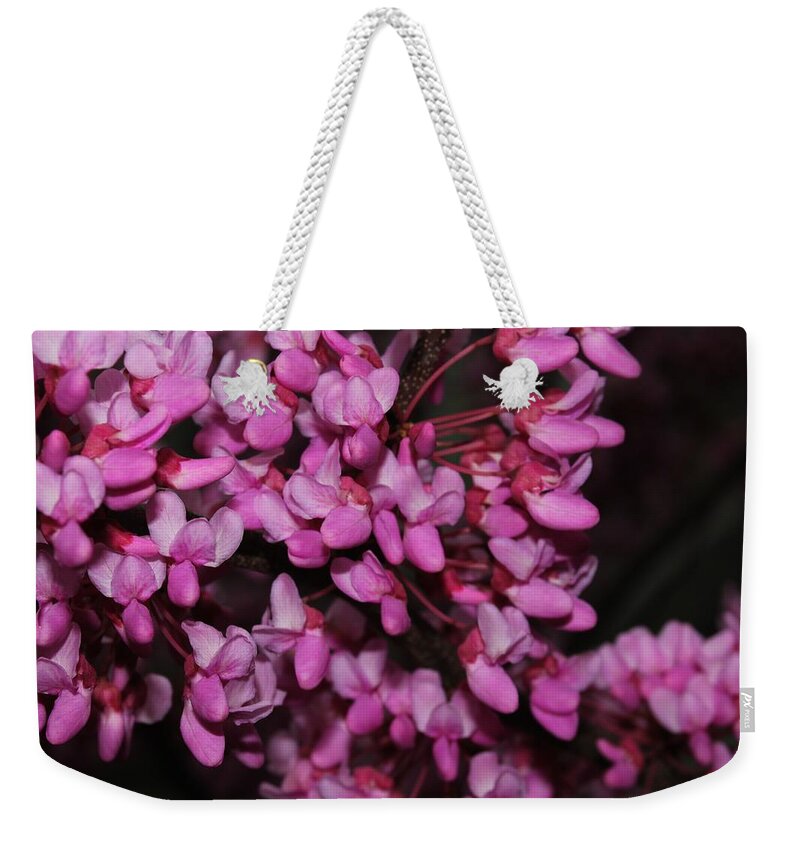 Nature Weekender Tote Bag featuring the photograph Red Bud 2011-4 by Robert Morin