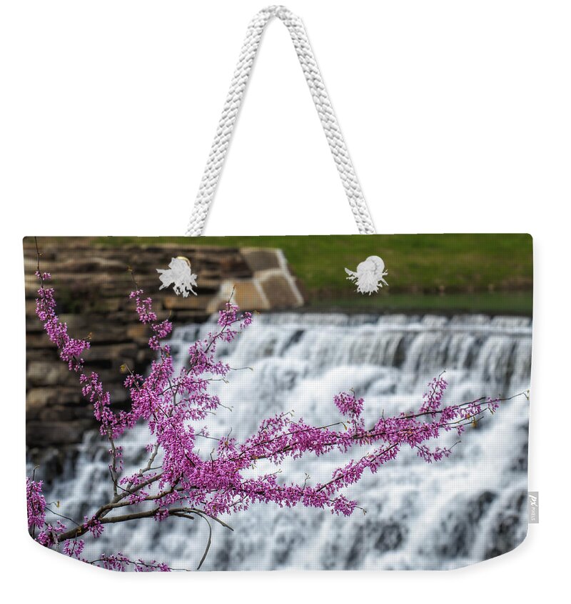 Cercis Canadensi Weekender Tote Bag featuring the photograph RedBud at Devils Den by James Barber
