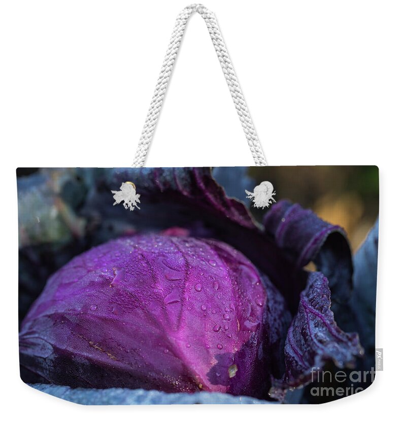 Purple Cabbage Weekender Tote Bags