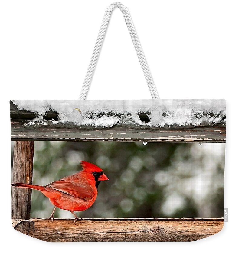 Red Cardinal Bird Photo Weekender Tote Bag featuring the photograph Red Cardinal Print by Gwen Gibson