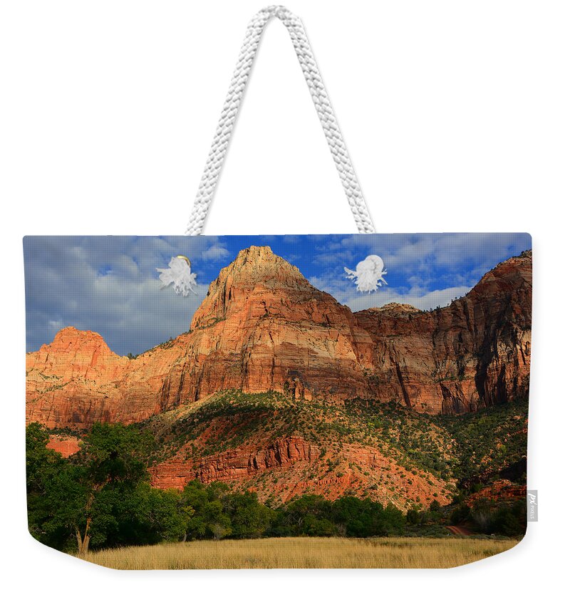 Red Cliffs Of Zion Weekender Tote Bag featuring the photograph Red Cliffs of Zion by Raymond Salani III