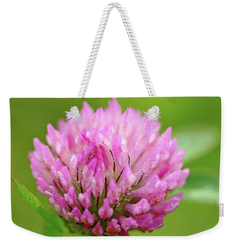 Red Clover Weekender Tote Bag featuring the photograph Red Clover by Debbie Oppermann