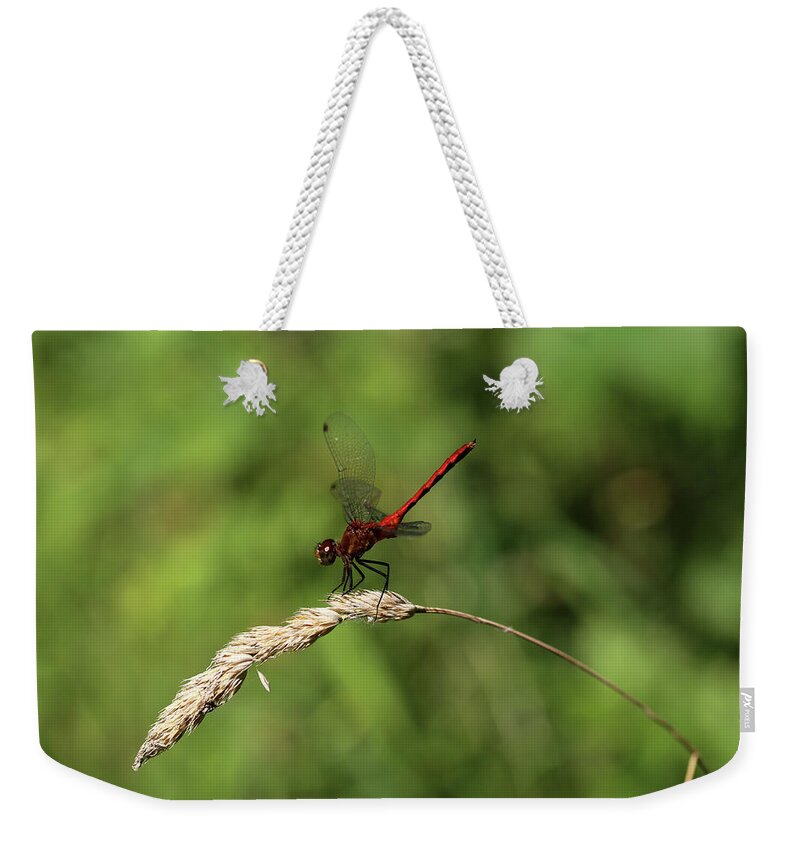 Dragon Fly Weekender Tote Bag featuring the photograph Red Dragonfly 070818 by Mary Bedy