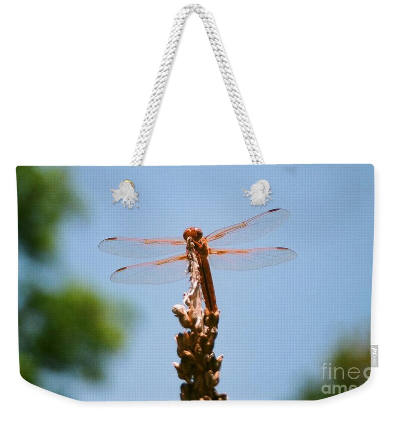 Dragonfly Weekender Tote Bag featuring the photograph Red Dragonfly by Dean Triolo