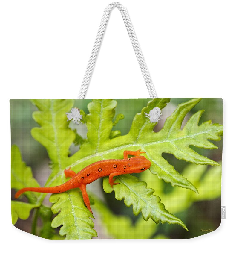 Red Eft Weekender Tote Bag featuring the photograph Red Eft Eastern Newt by Christina Rollo