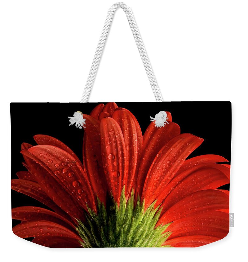 Red Weekender Tote Bag featuring the photograph Red flower macro by Lilia S