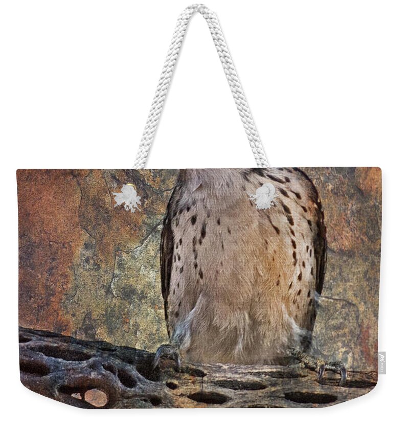 Woodpecker Weekender Tote Bag featuring the photograph Red Head by Barbara Manis