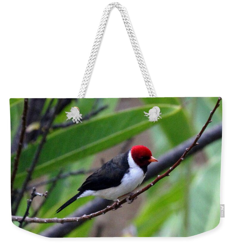 Red Head Weekender Tote Bag featuring the photograph Red Head by Jennifer Robin