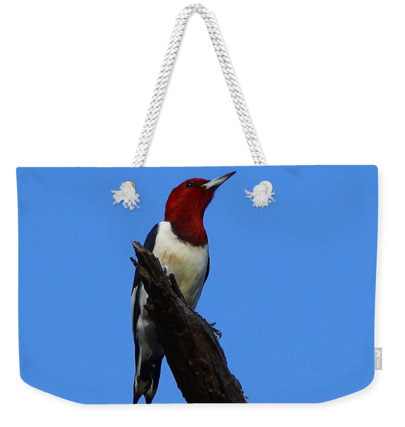 Red Headed Woodpecker Weekender Tote Bag featuring the photograph Red Headed Woodpecker on a Snag by Barbara Bowen