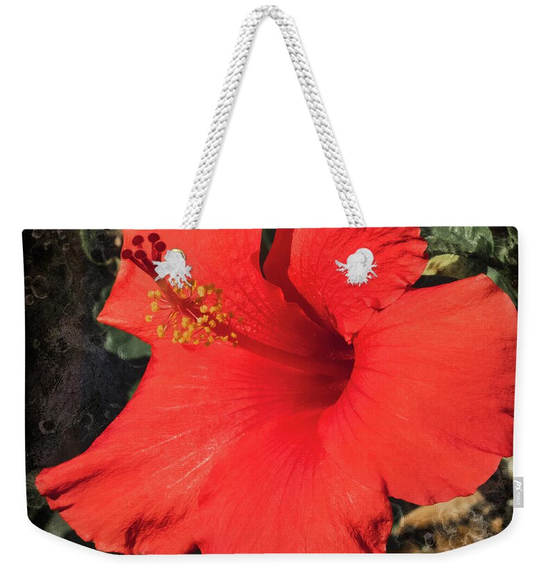 Hibiscus Weekender Tote Bag featuring the photograph Red Hibiscus by Scott and Dixie Wiley