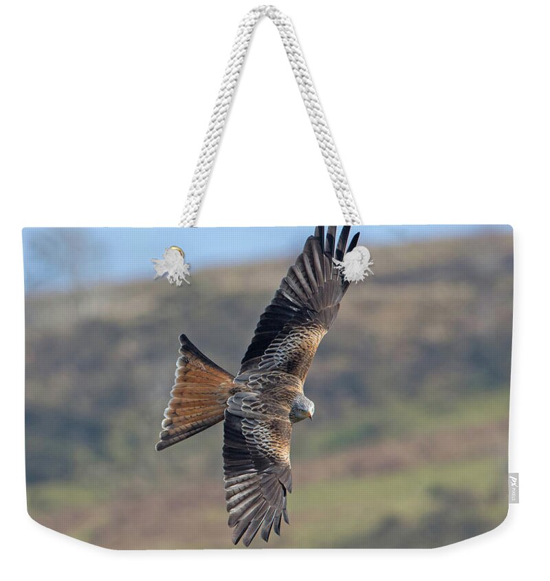 Red Weekender Tote Bag featuring the photograph Red Kite by Pete Walkden