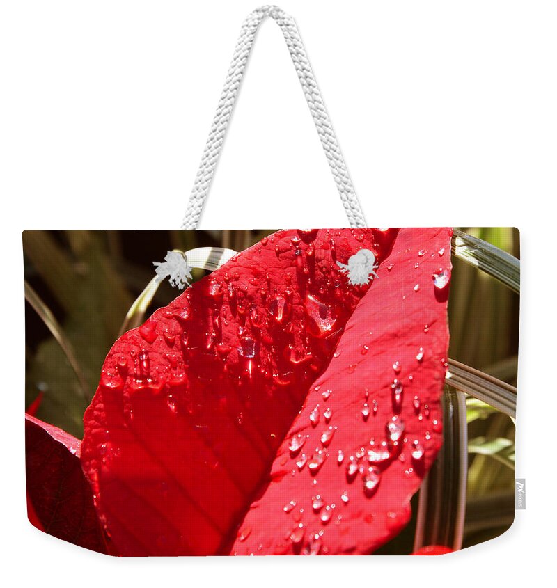 Red Leaf Weekender Tote Bag featuring the photograph Red leaf by David Lee Thompson