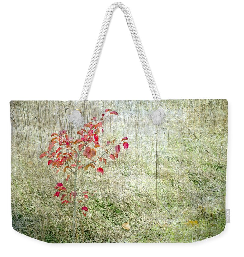 Red Leaves Weekender Tote Bag featuring the photograph Red Leaves Amongst Grass by Tamara Becker
