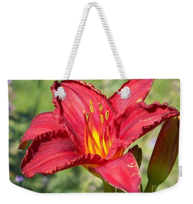 Red Weekender Tote Bag featuring the photograph Red Flower by Eunice Miller