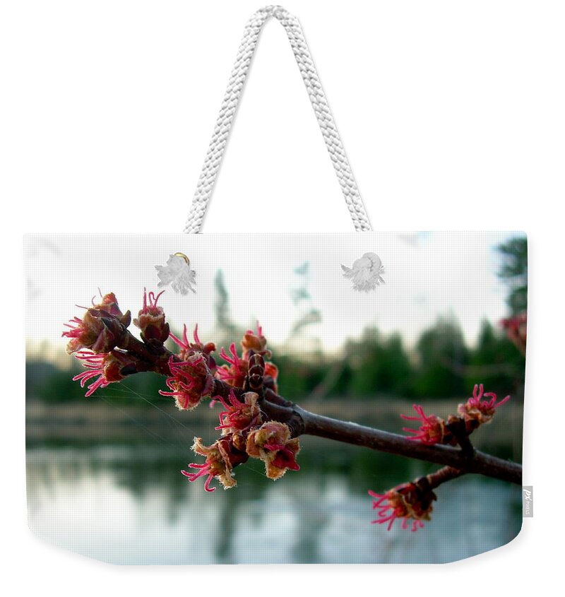 Maple Buds Weekender Tote Bag featuring the photograph Red Maple Buds at Dawn by Kent Lorentzen