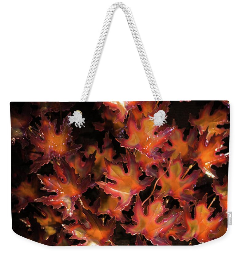 Tree Weekender Tote Bag featuring the photograph Red Maple Leaves by Louis Dallara