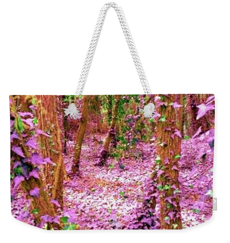  Weekender Tote Bag featuring the photograph red by Margherita Rancura