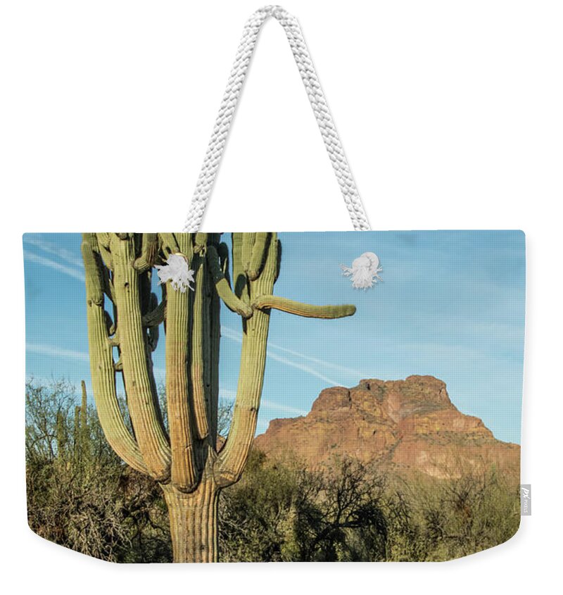 Red Weekender Tote Bag featuring the photograph Red Mountain and Saguaro Shadow 2439-032118-cr by Tam Ryan
