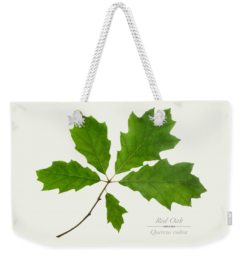 Leaves Weekender Tote Bag featuring the photograph Red Oak Leaves by Christina Rollo