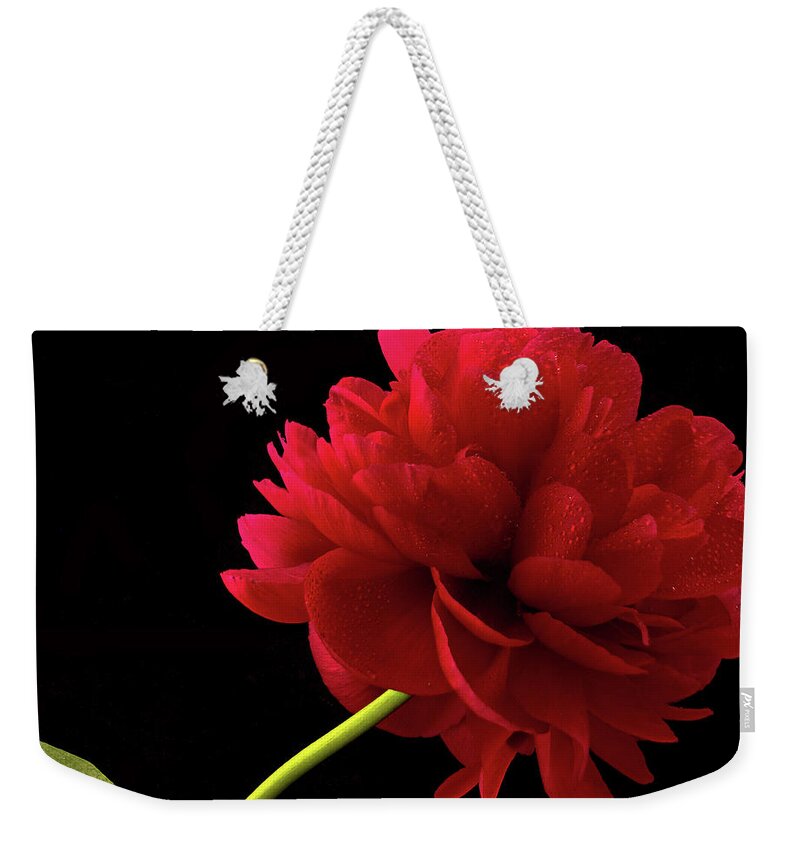 Close Up Weekender Tote Bag featuring the photograph Red Peony by Jean Noren