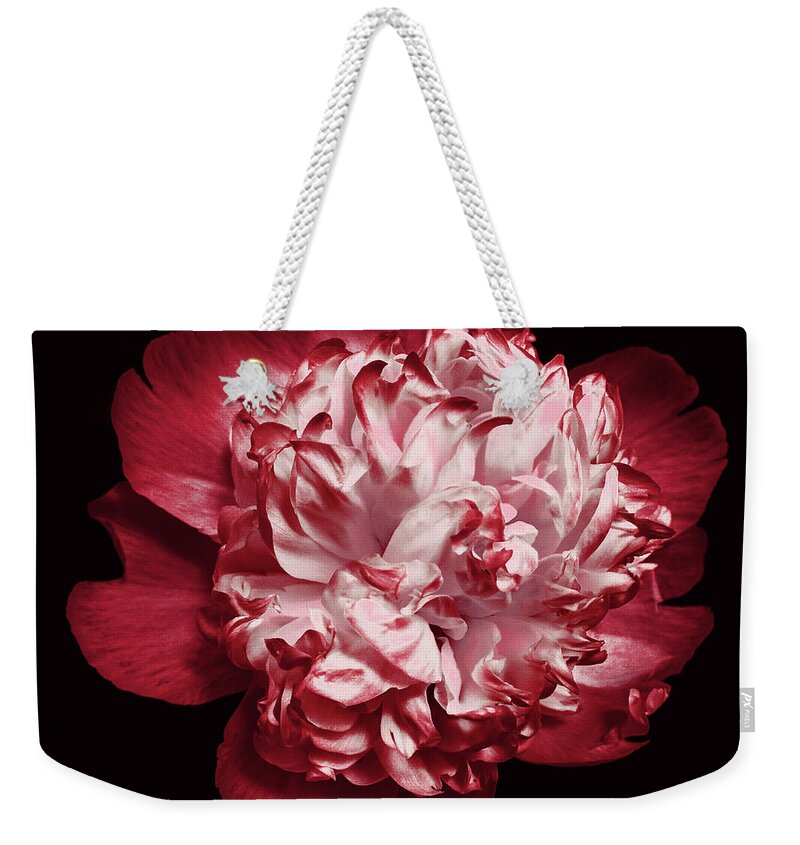 Red Peony Weekender Tote Bag featuring the photograph Red Peony on Black by Denise Beverly