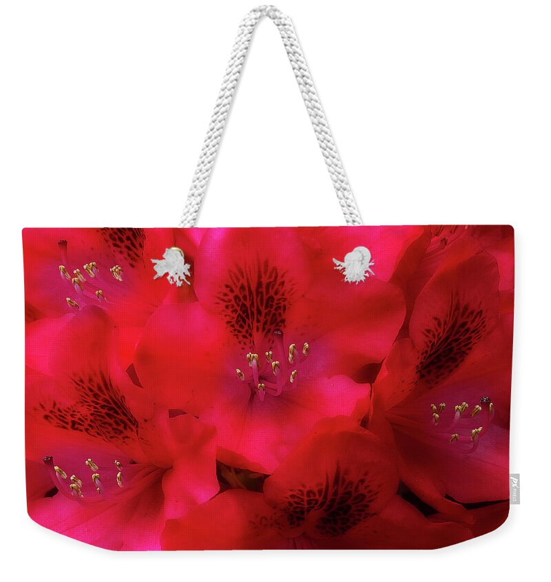 Flowers Weekender Tote Bag featuring the photograph Red Petals by Mike Eingle