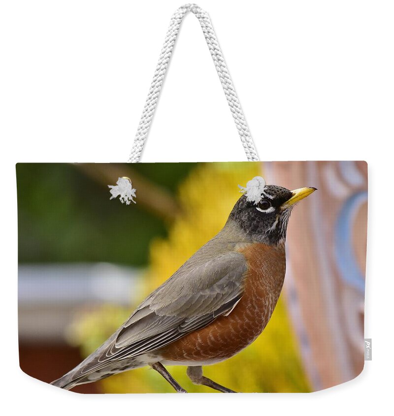 Linda Brody Weekender Tote Bag featuring the photograph Red Robin Portrait by Linda Brody