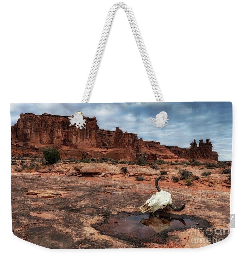 Arches National Park Weekender Tote Bag featuring the photograph Red Rocks Skull by Tibor Vari