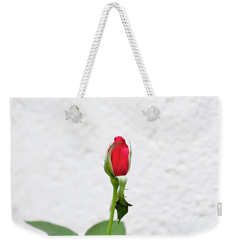 Flower Weekender Tote Bag featuring the photograph Red rose in a garden by Ilan Rosen