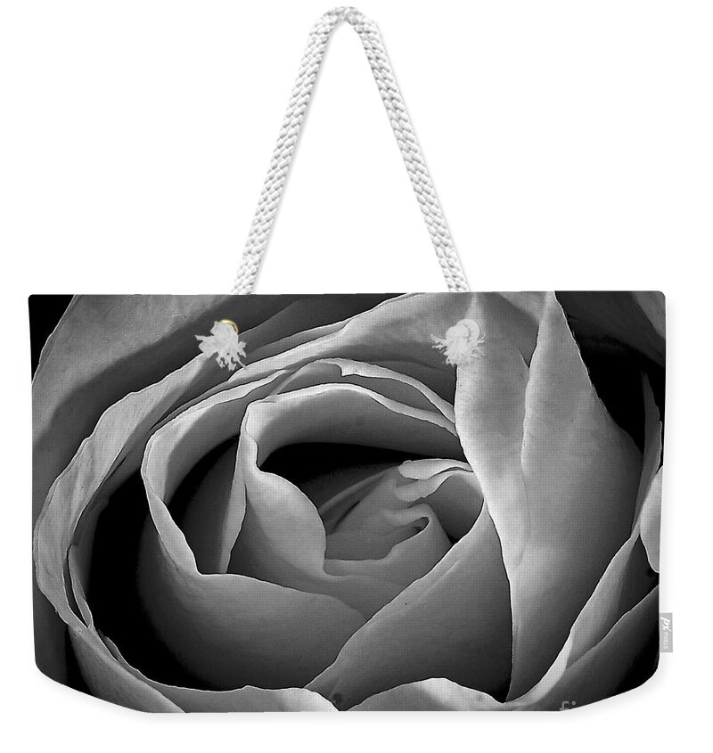 Santa Fe Weekender Tote Bag featuring the photograph Red Rose in Infrared by Charles Muhle