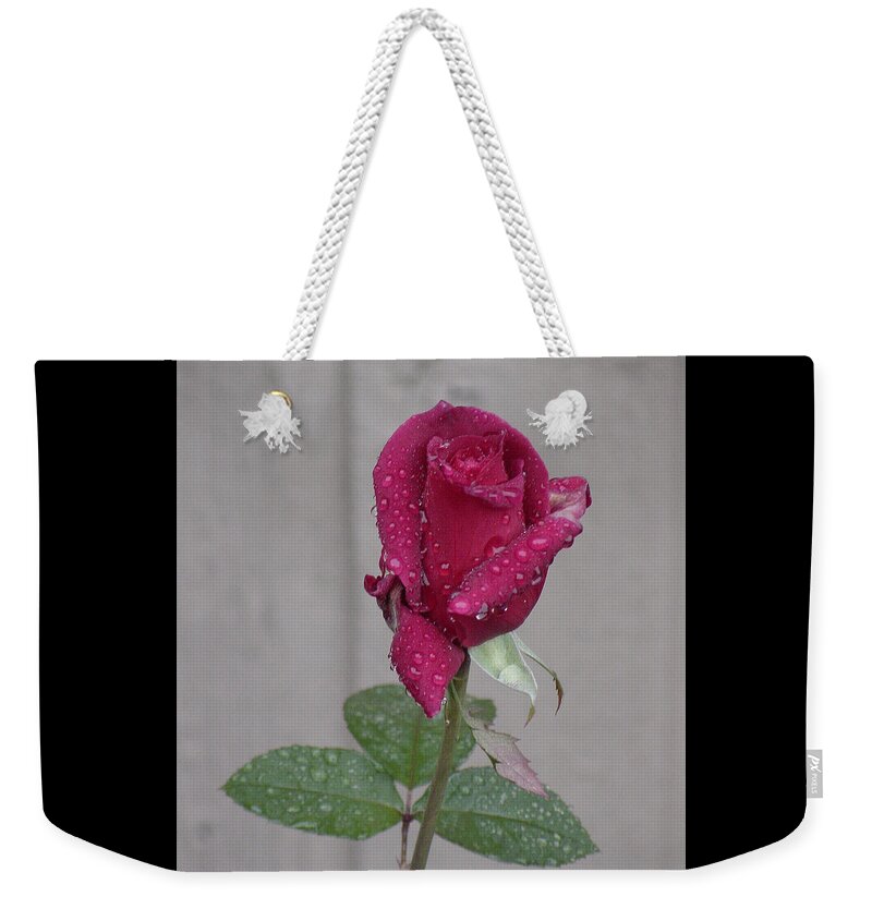 Northwest Weekender Tote Bag featuring the photograph Red Rose in Rain by Shirley Heyn