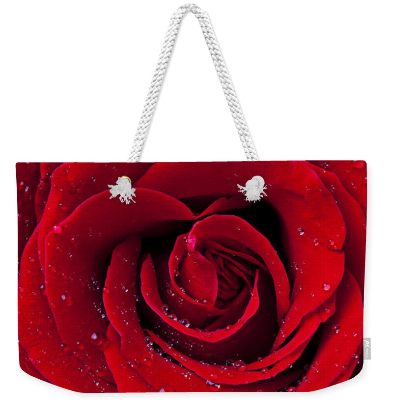 Red Weekender Tote Bag featuring the photograph Red Rose With Dew by Garry Gay