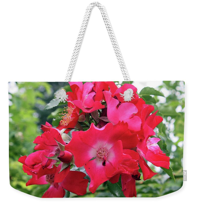 Rose Weekender Tote Bag featuring the photograph Red roses by Ellen Tully