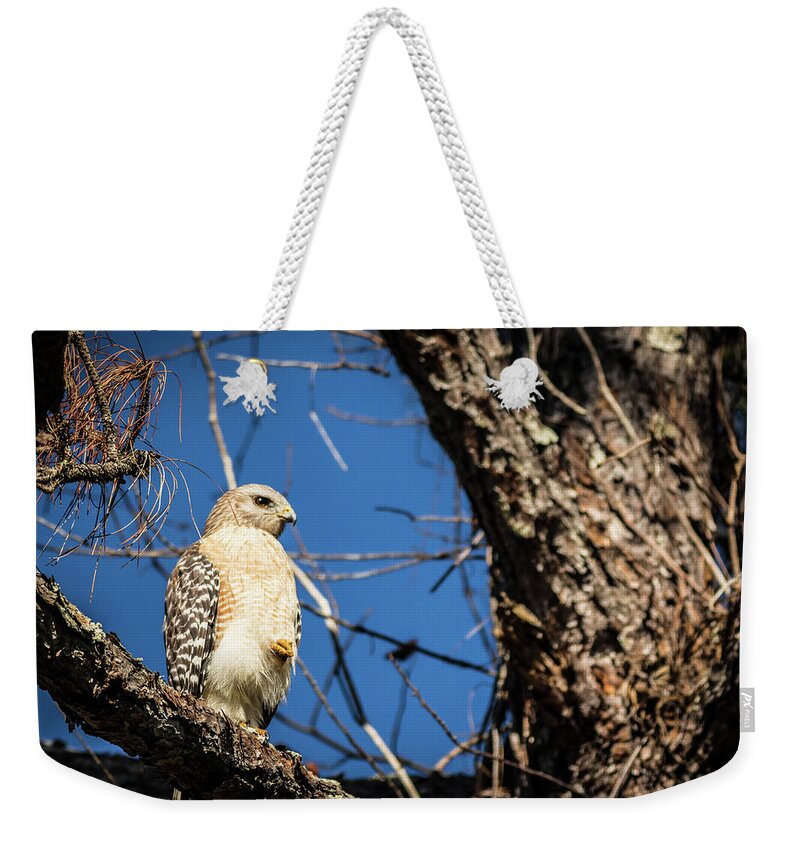 Bird Weekender Tote Bag featuring the photograph Red Shouldered Hawk by George Kenhan
