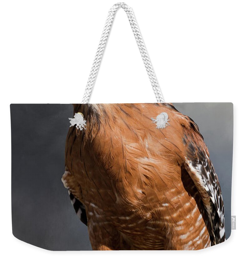 Raptor Weekender Tote Bag featuring the photograph Red Shouldered Hawk by Steph Gabler