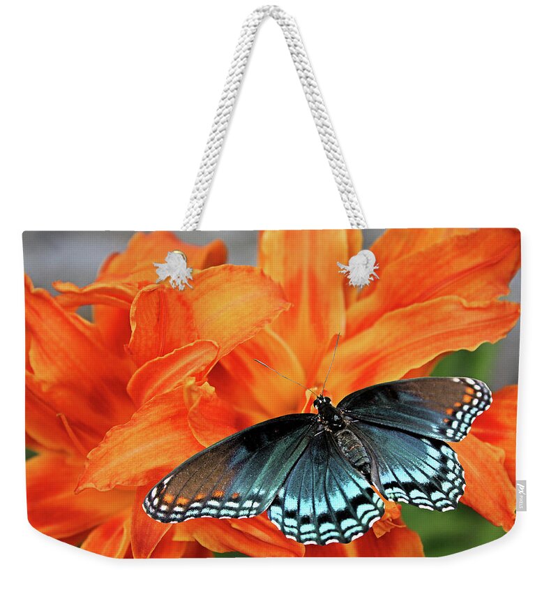 Red-spotted Purple Weekender Tote Bag featuring the photograph Red Spotted Fritillary by Kristin Elmquist