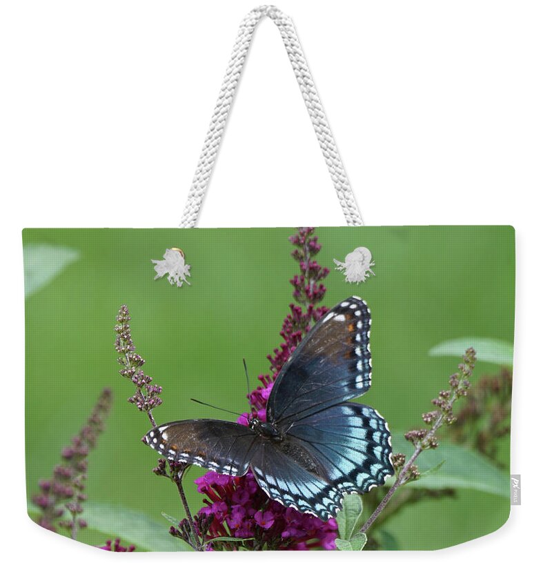 Red-spotted Purple Butterfly Weekender Tote Bag featuring the photograph Red-spotted Purple Butterfly on Butterfly Bush by Robert E Alter Reflections of Infinity