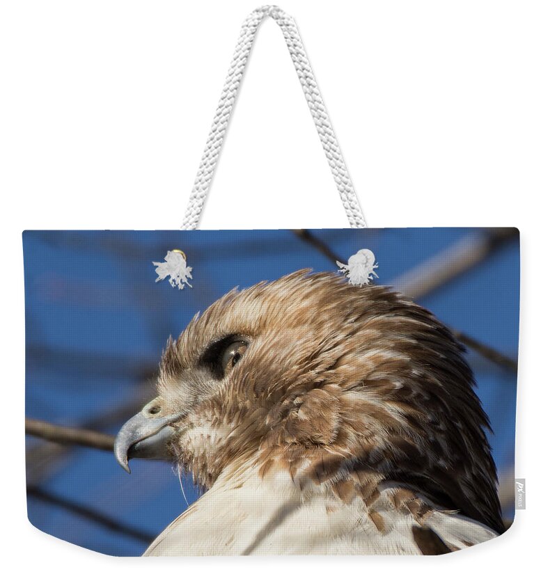 Hawk Weekender Tote Bag featuring the photograph Red Tailed Hawk Portrait by Deborah Ritch
