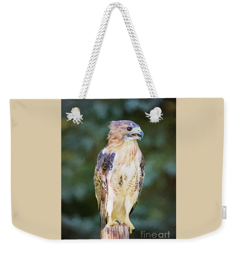 Nature Weekender Tote Bag featuring the photograph Red Tailed Hawk by Sharon McConnell